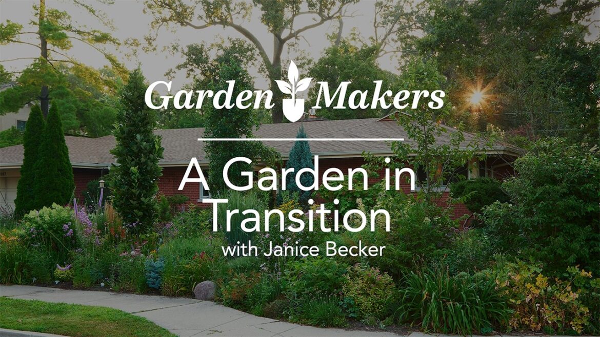 From Shade to Sun (and Back Again): How a Zone 5B Garden Has Evolved Over 25 Years From Shade to Sun (and Back Again): How a Zone 5B Garden Has Evolved Over 25 Years
