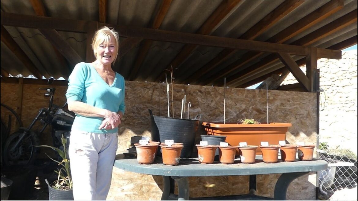 Spring Garden Planting Begins | Planning Our Fruit & Veg for the Season