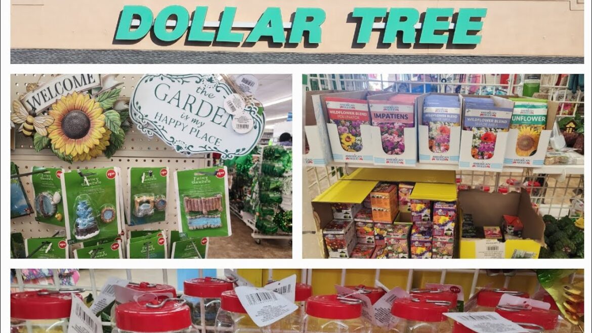Dollar Tree Gardening Supplies are here for the 2025 season! GA/Zone 8a