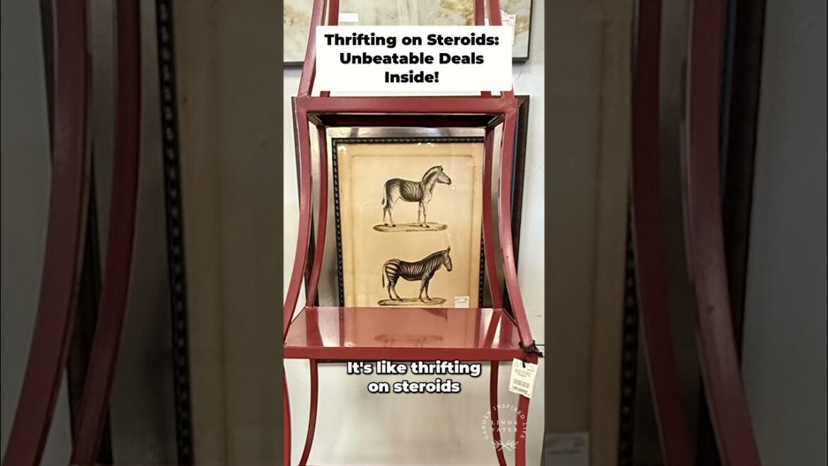 Thrifting on Steroids  INSANE Variety & MUST HAVE Finds! #thrift #deals #shopping