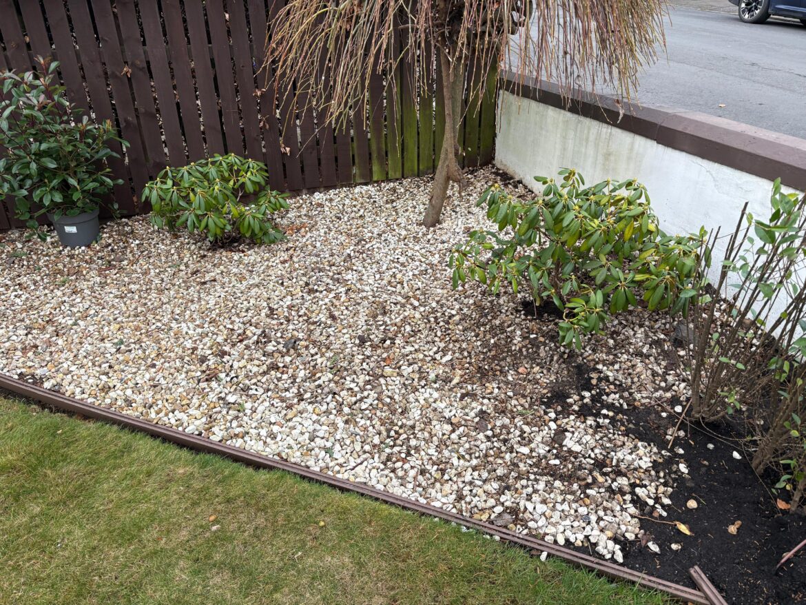 What would you put here? South facing but in partial shade for latter half of the day. Edinburgh.