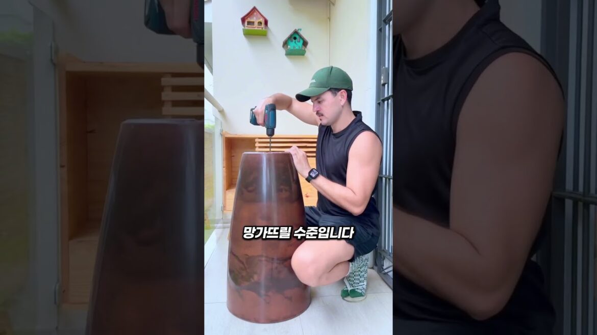 2미터짜리 괴물 식물 화을 혼자 옮기는 방법