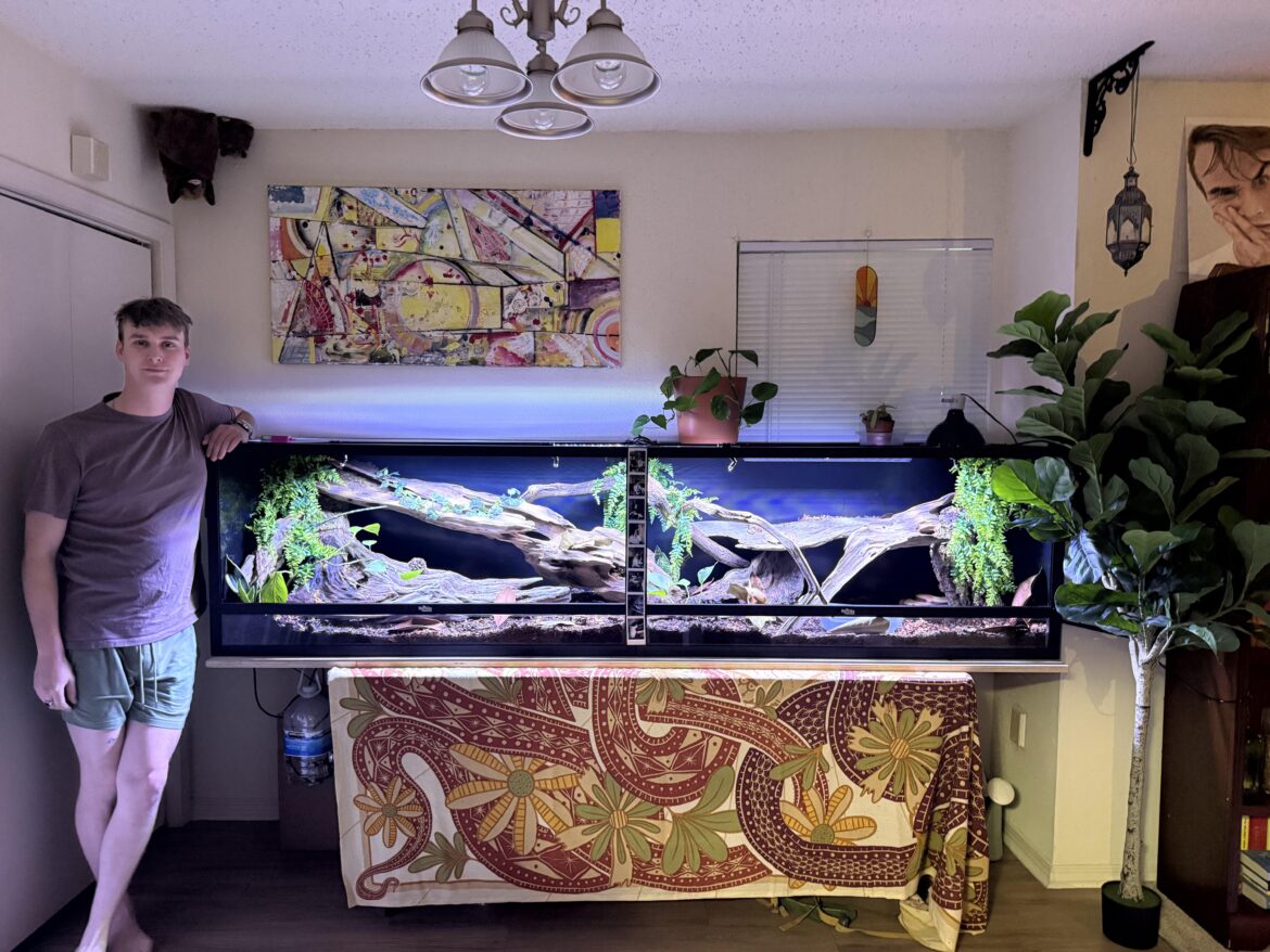 I’ve never shared before but here is the current state of my terrarium! Feel free to ask questions :)