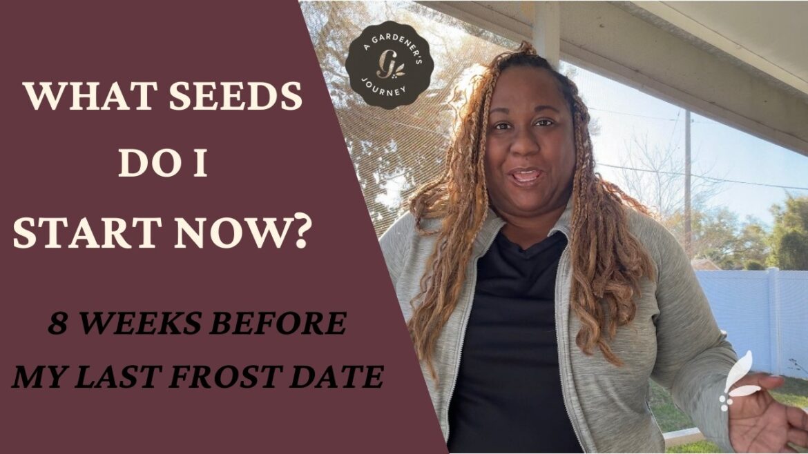 What Seeds Can I Start Now? | 8 Weeks Before Last Frost Date