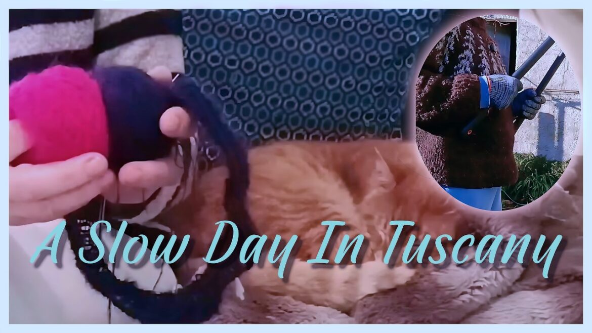 Clearing My Overgrown Garden + Vintage Home DIY & Knitting Plans Slow Living Vlog Clearing My Overgrown Garden + Vintage Home DIY & Knitting Plans Slow Living Vlog