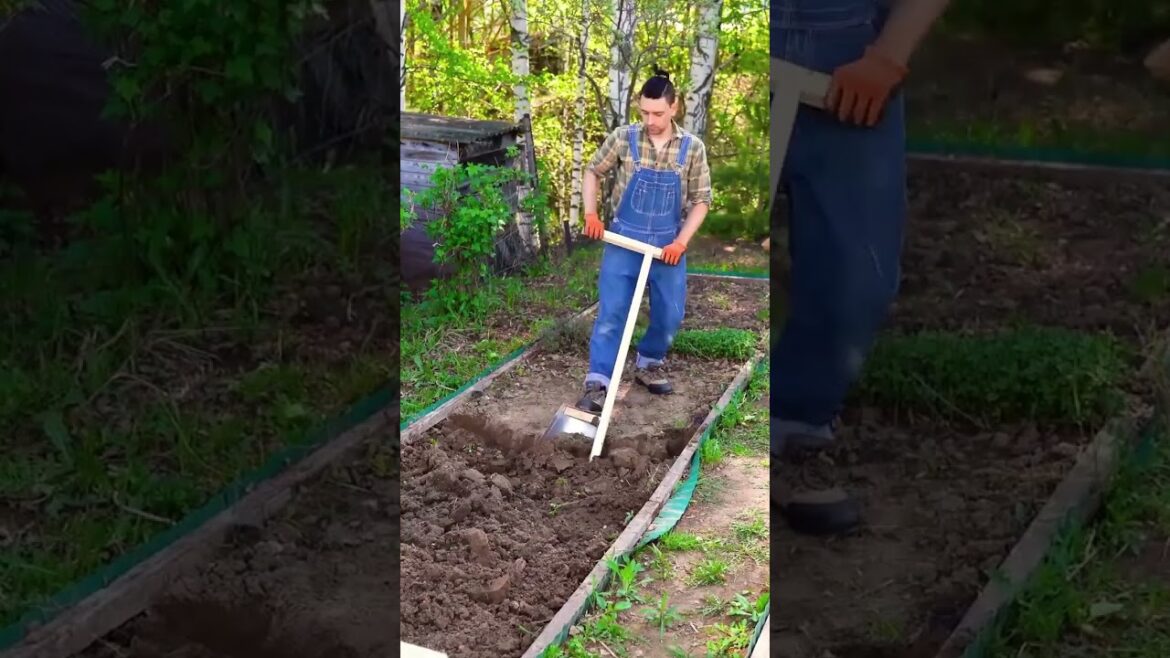 Transform your garden with these hacks 🛠️🌿 #diy #backyard