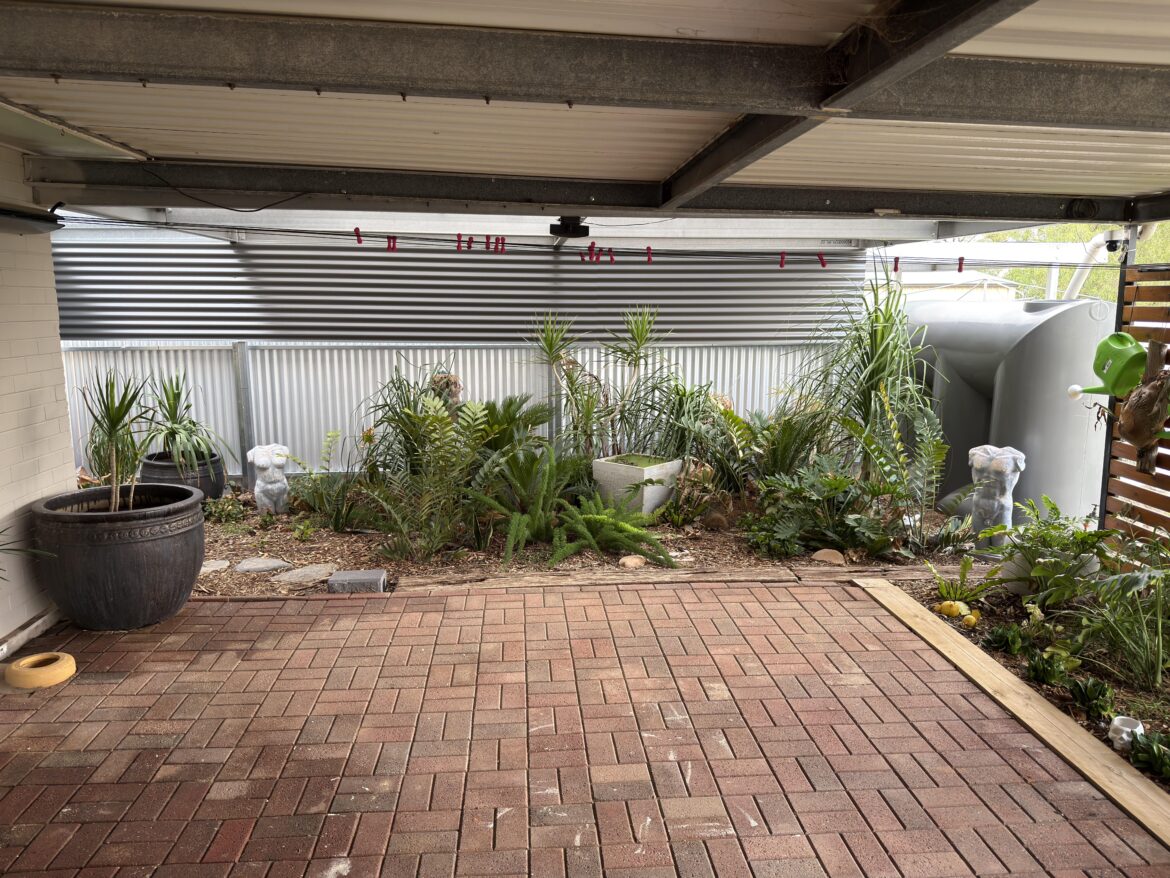 Plant Suggestions for Fence Line, Outback SA. Plant Suggestions for Fence Line, Outback SA.