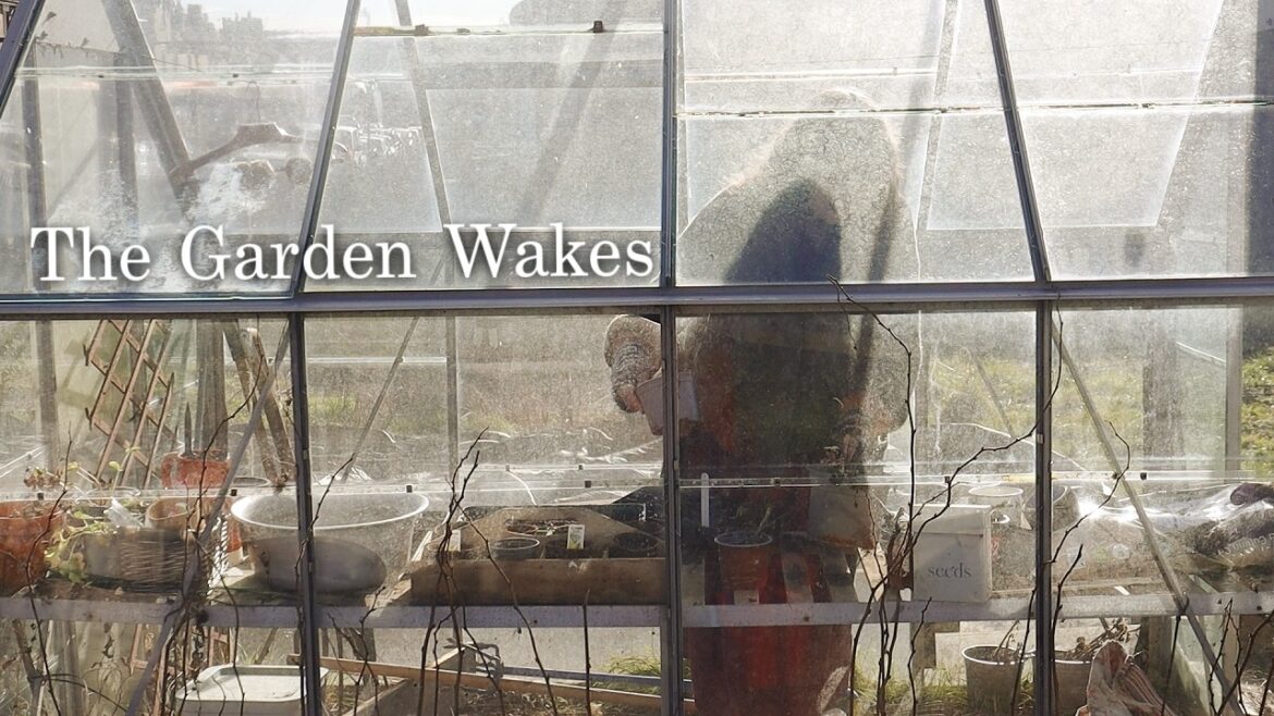 Rooted in the Season, Finding Joy in the Soil – English Allotment Gardening