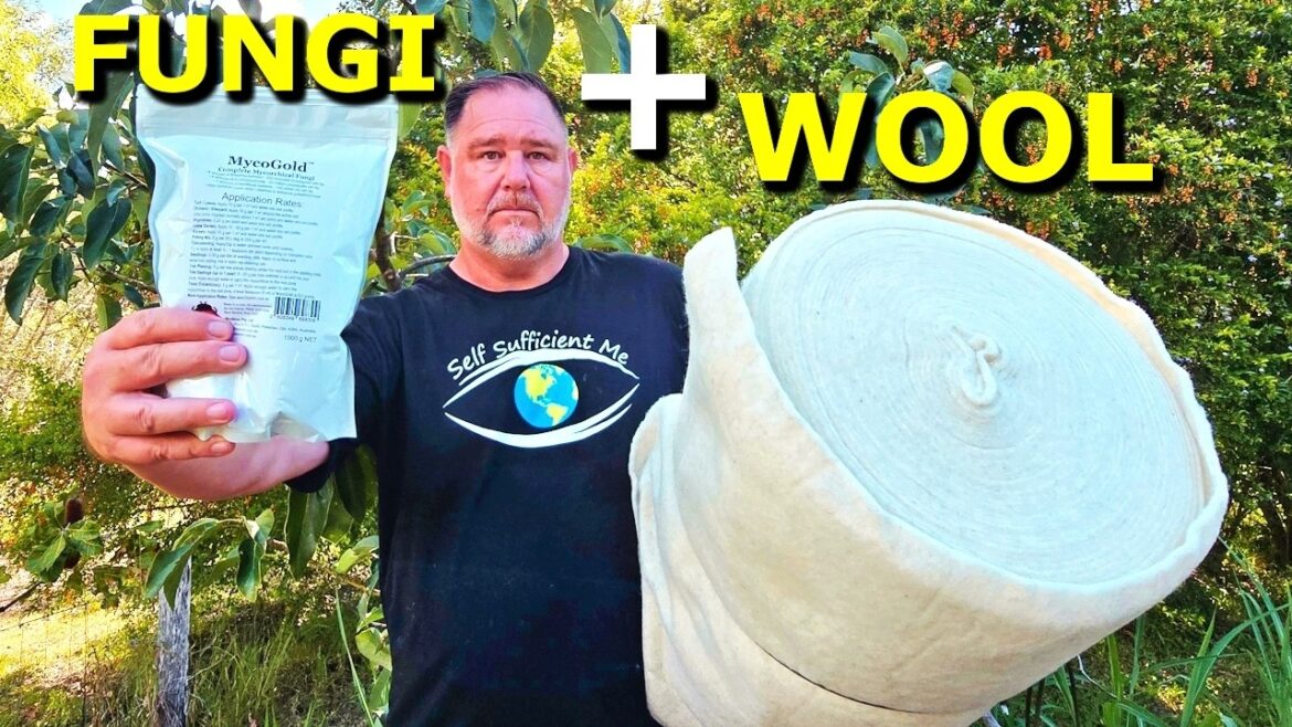 Can These TWO Things SAVE My Avocado Tree?