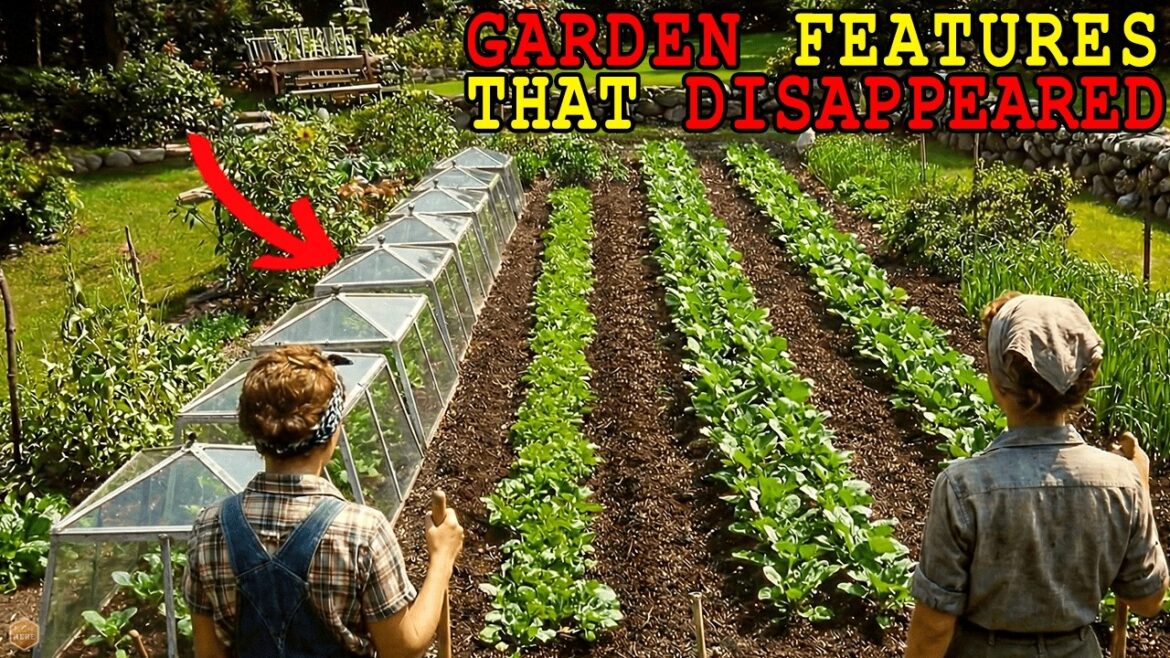 Old Garden Features That Vanished from American Homes