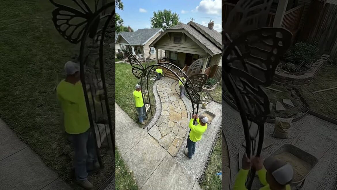 You won’t believe this yard becomes a butterfly paradise #garden #makeover You won’t believe this yard becomes a butterfly paradise #garden #makeover