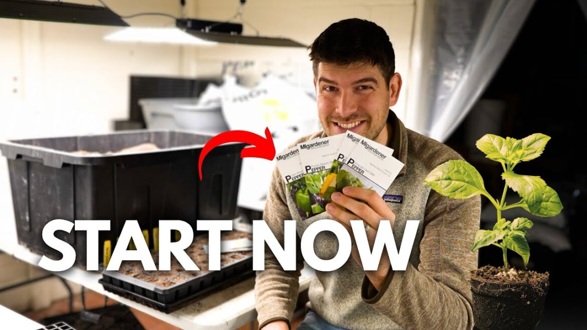 Seeds to Start NOW in February & Early March!