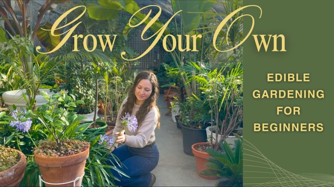 Edible Gardening for Beginners Ep. 1 | Before You Start