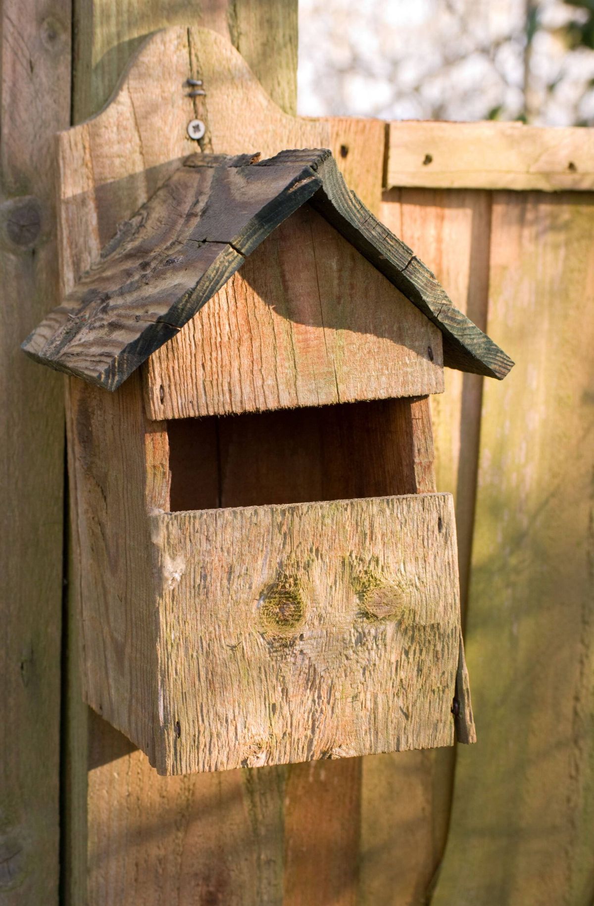Bird house