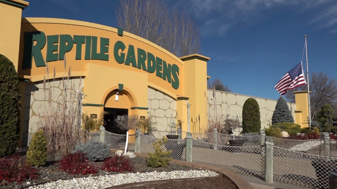 Reptile Gardens: Electrical problem led to November fire – Rapid City, South Dakota | News, Weather and Sports Reptile Gardens: Electrical problem led to November fire - Rapid City, South Dakota | News, Weather and Sports