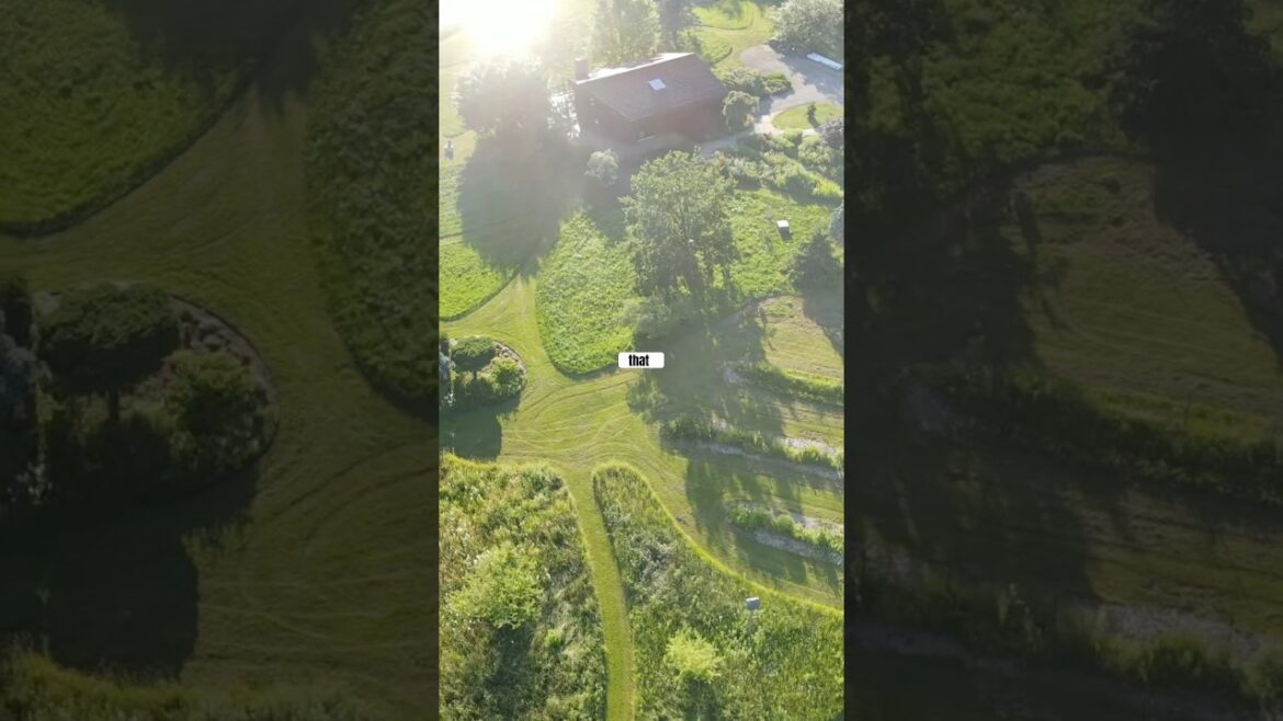 EDIBLE LANDSCAPING in a SMALL BACKYARD GARDEN