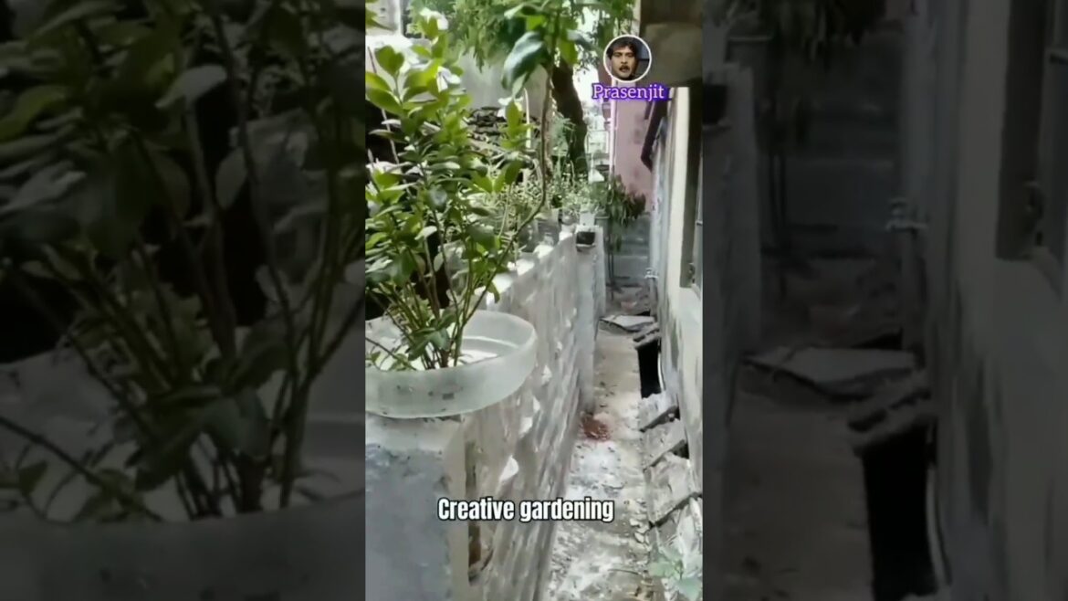 Very Creative Gardening Ideas #shorts #garden #satisfying