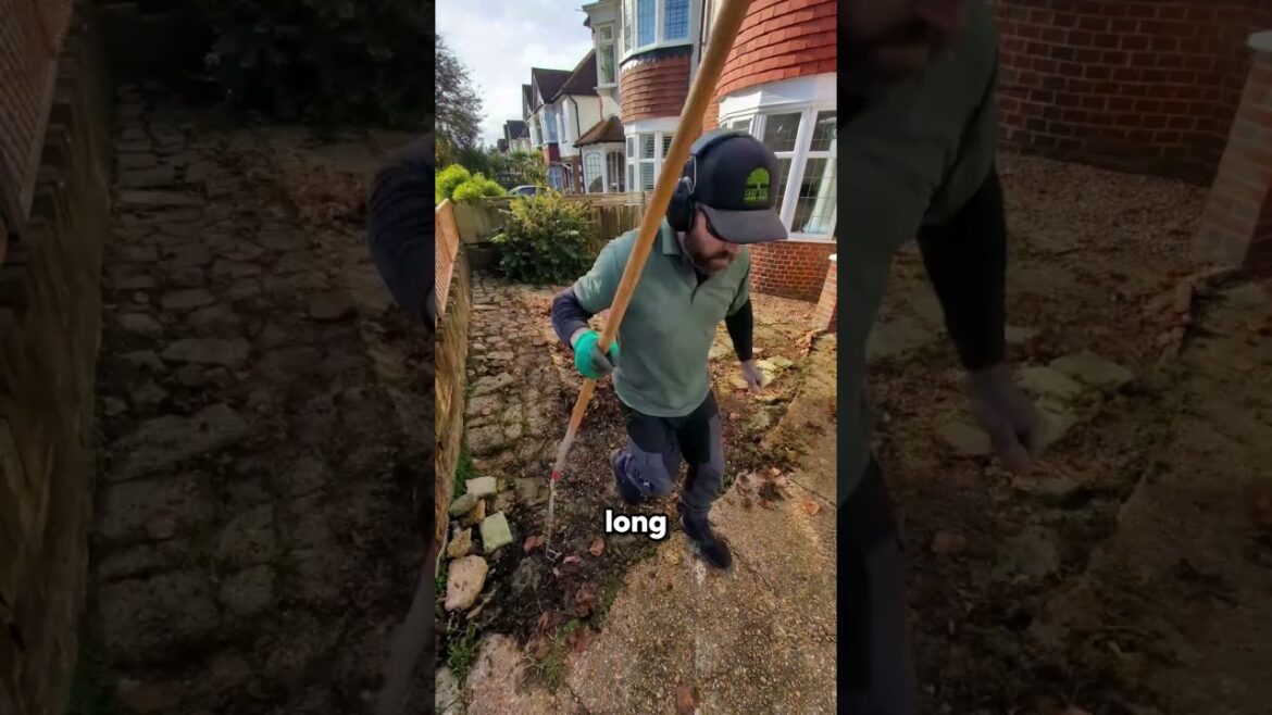 Home Outdoor Restoration | Cleaning | Transformation Costed $700 #shorts #satisfying #lawncare