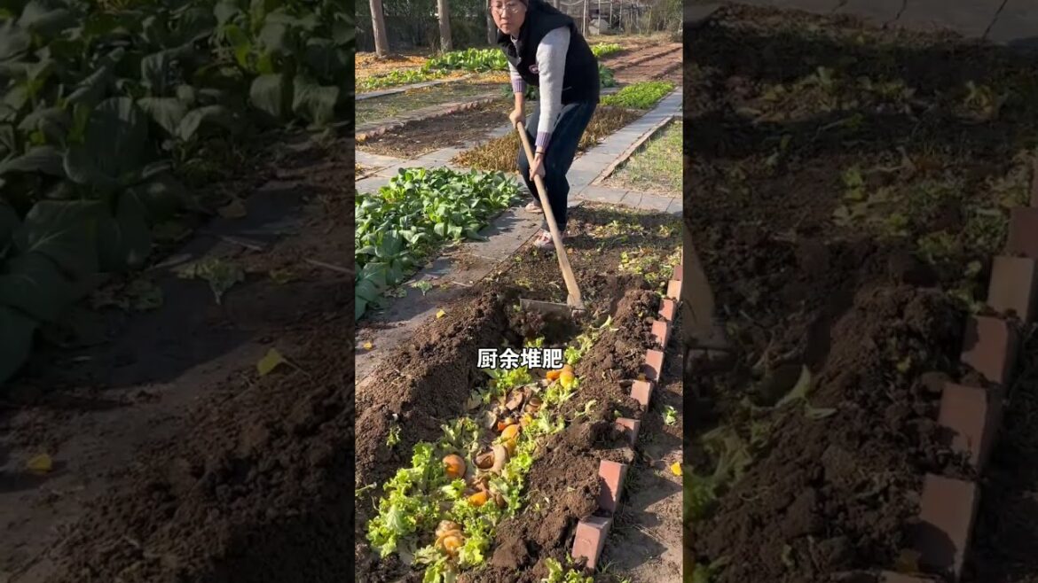 Affordable Vegetable Gardening: DIY Fertilizer Secrets