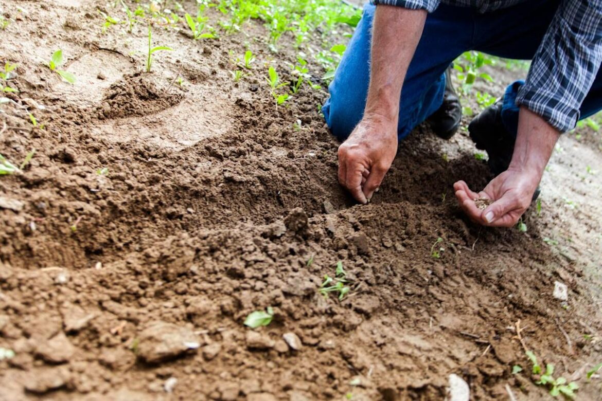 Why Gardeners in the Southeast Should Delay Planting This Year Why Gardeners in the Southeast Should Delay Planting This Year