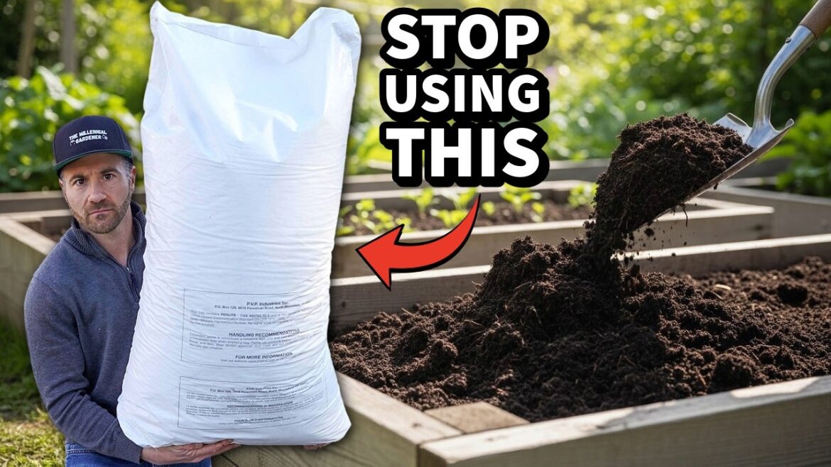The Soil Mix Slowly POISONING Your Garden Beds