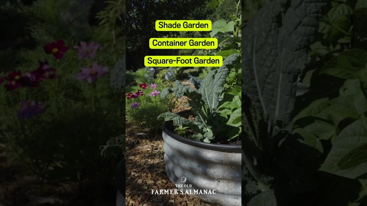 Want to start a garden? Free garden plans!