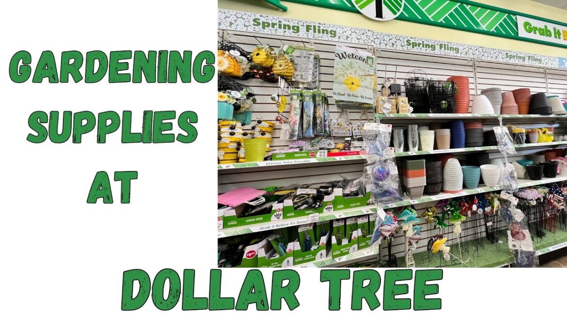 🌱 GARDENING SUPPLIES AT DOLLAR TREE! 💸 Dollar Tree HACKS to Grow a LUSH Garden on a BUDGET! 🌿 🌱 GARDENING SUPPLIES AT DOLLAR TREE! 💸 Dollar Tree HACKS to Grow a LUSH Garden on a BUDGET! 🌿