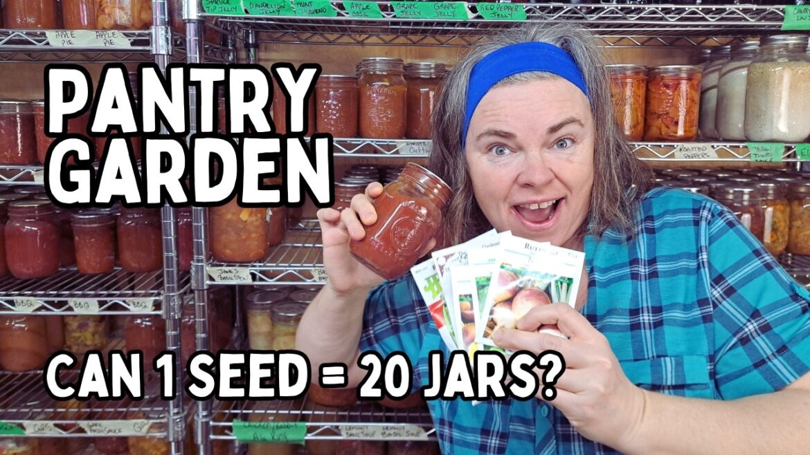 The Secret to a Year of Free Food: My Pantry Garden Plans The Secret to a Year of Free Food: My Pantry Garden Plans