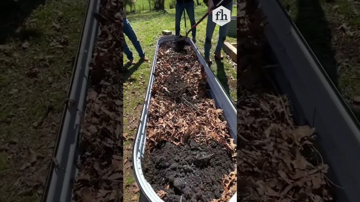 An Easy DIY Hack to Fill a Raised Garden Bed