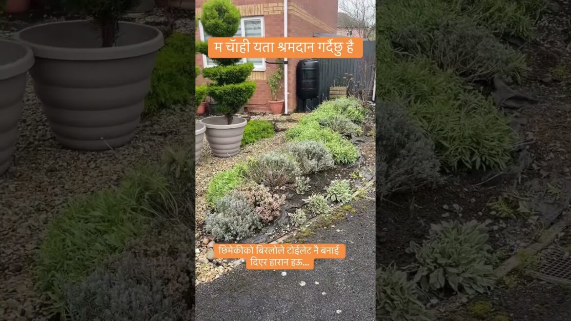 Transformation of Front-yard Garden to Parking