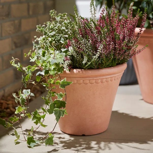 Scalloped Edge Smooth Fibre Clay Plant Pot