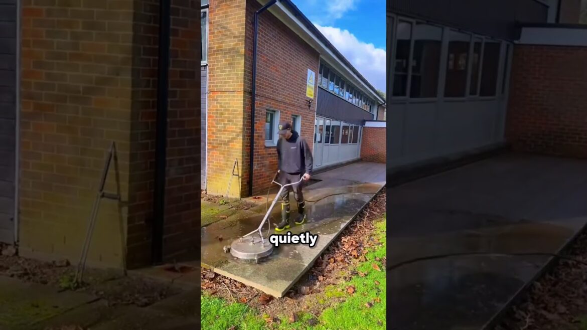 Helping Retired Old Couple with Home Outdoor Maintenance #shorts #satisfying #cleaning