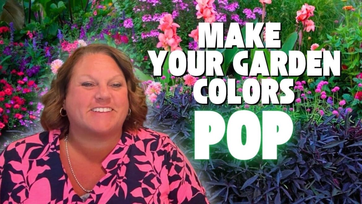 Dark Foliage Plants That Make Your Garden POP