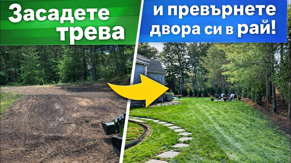 От Гола Почва до Зелен Рай 🌱 Пълна Трансформация на Двор (Преди и След От Гола Почва до Зелен Рай 🌱 Пълна Трансформация на Двор (Преди и След