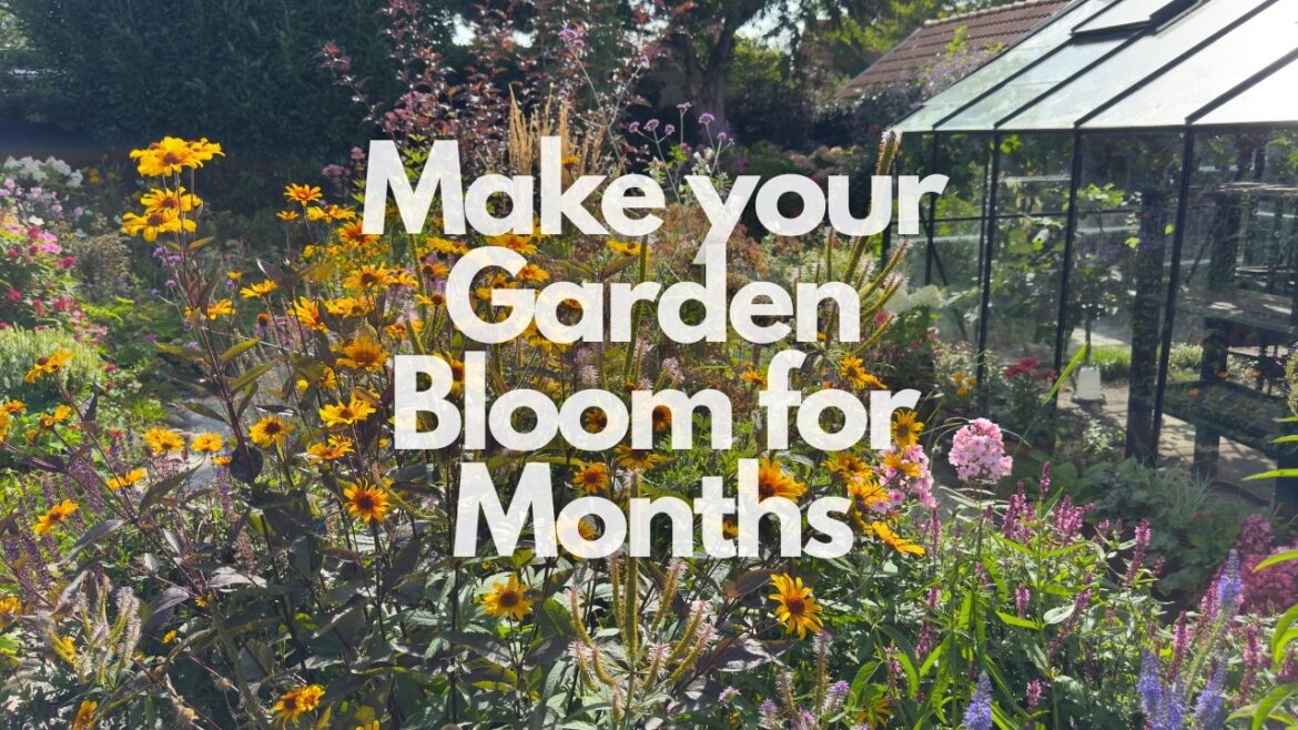 66 Perennials for Non-Stop Bloom | Plan a Garden That Flowers April–August
