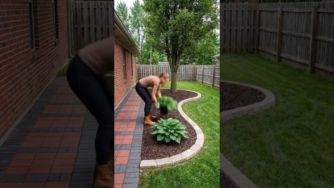 Backyard Makeover Magic 😍🌿 Satisfying Garden Transformation #asmr #viral #trending