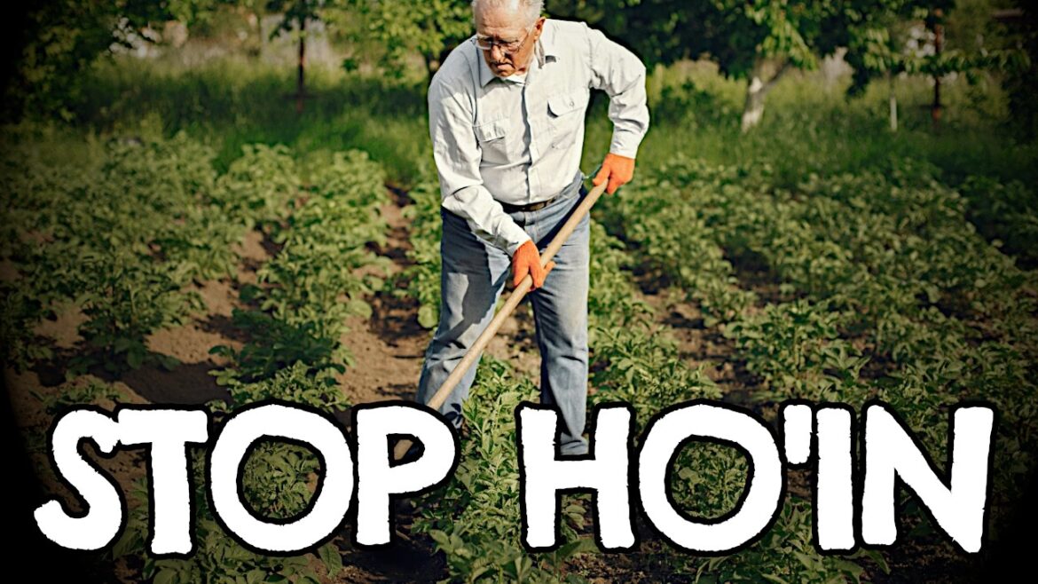 7 Weeds That Are Good for Your Garden and Your Health