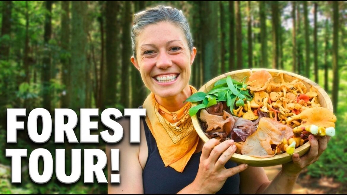 The World's Laziest Garden (and What It Has to Teach Us)