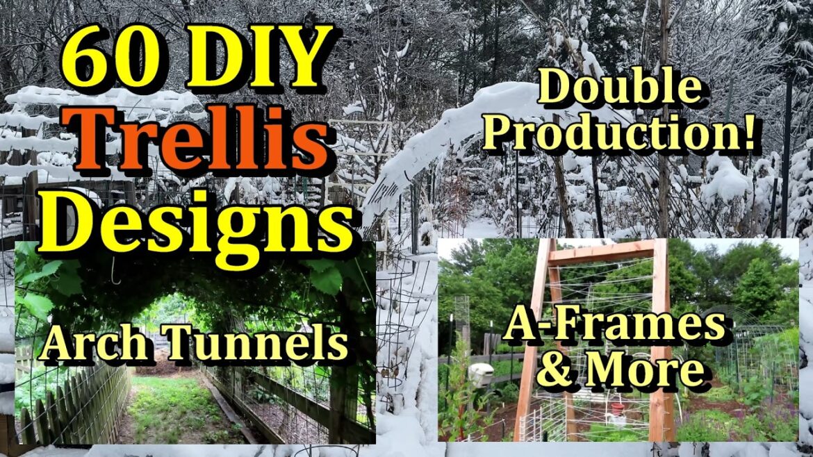 Gary Pilarchik: Over 60 Vegetable Garden DIY Trellis Designs (Materials, Placement, Vertical Growing Ideas) Over 60 Vegetable Garden DIY Trellis Designs (Materials, Placement, Vertical Growing Ideas)