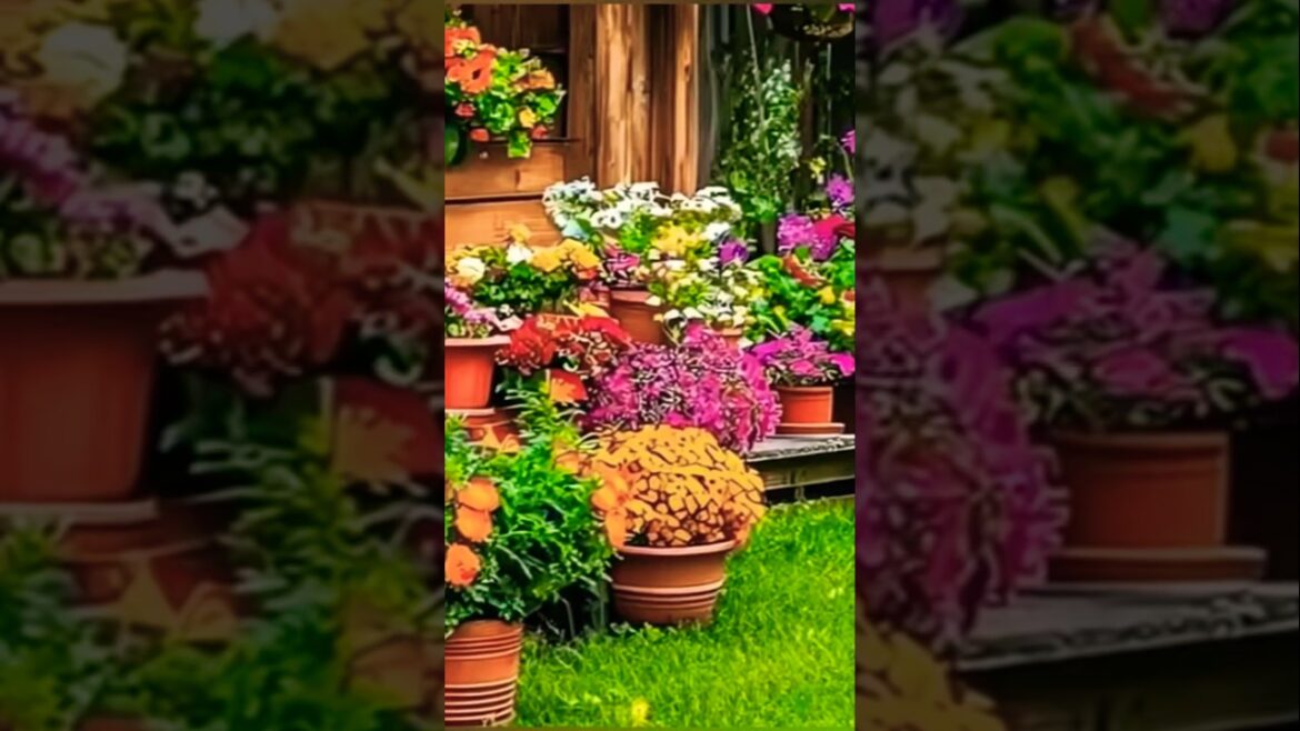 Front Yard Landscaping 🏠🌿🦋🌸