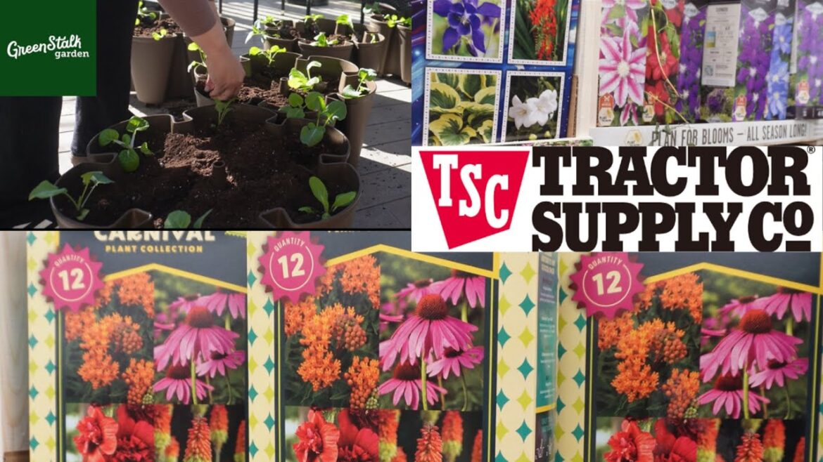 TRACTOR SUPPLY GARDEN INVENTORY 2025 & INSTALLING GREEN STALK PLANTER