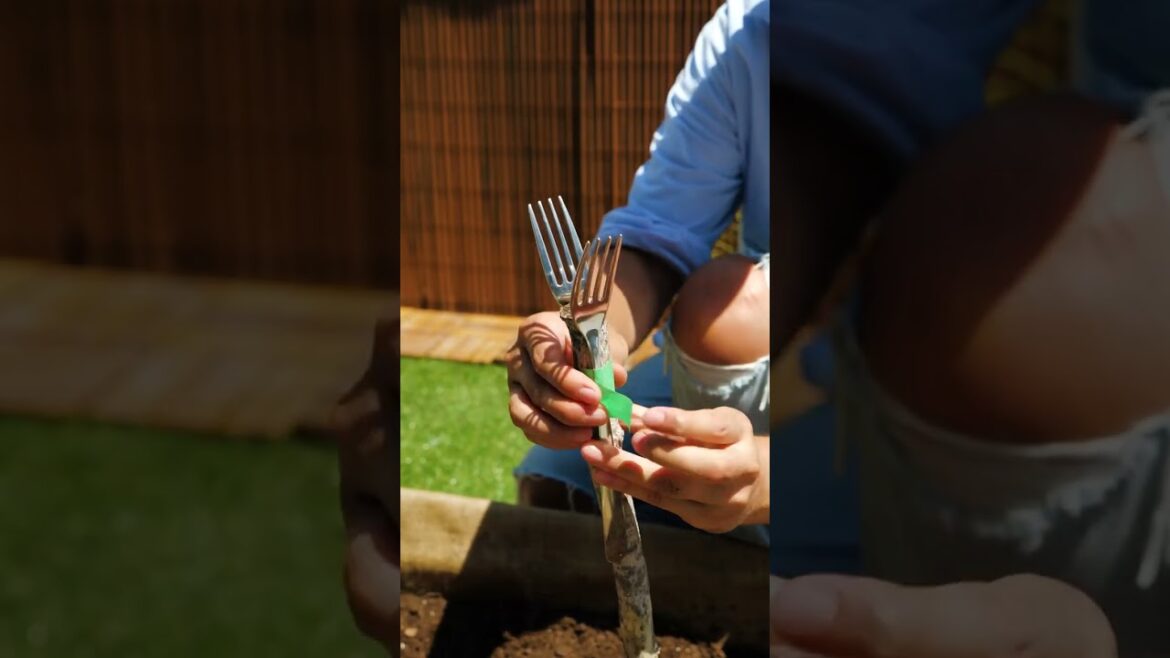 NEVER Try Such Garden Hacks If You Are Not Ready to Be Surprised by the Results