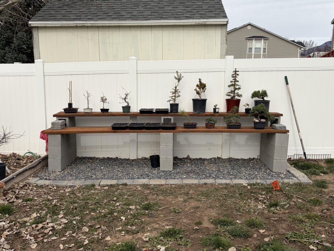 Built my first bench