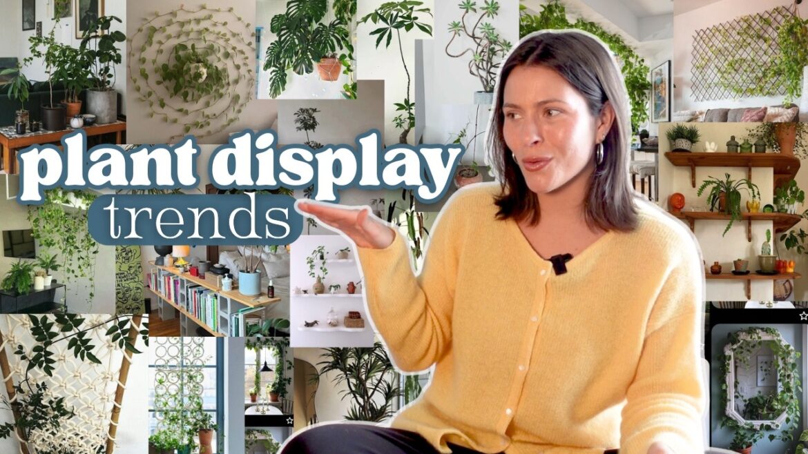 10 plant display trends i’m obsessed with 10 plant display trends i'm obsessed with