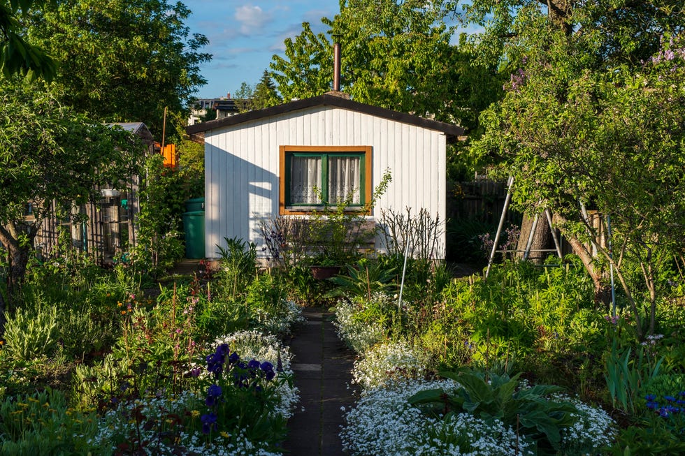 garden with a small white house and lush greenery