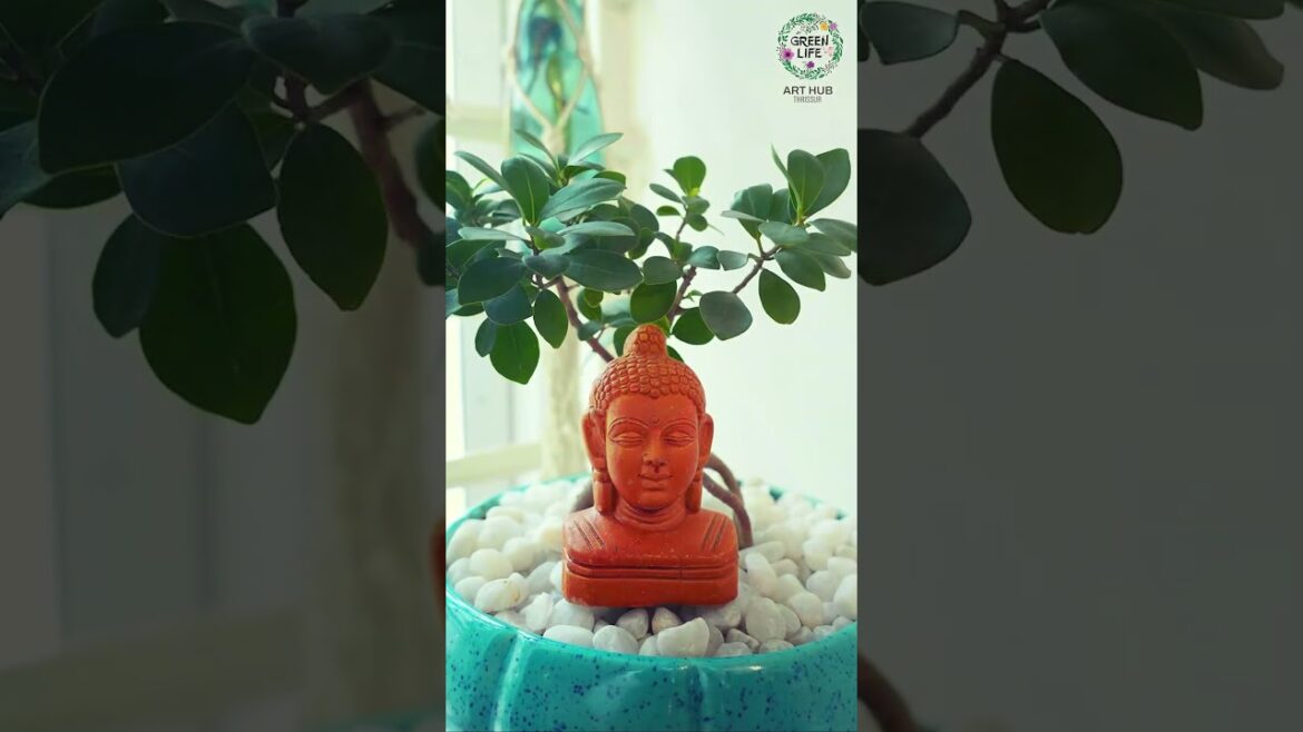 GREEN ART PLANS | GREEN LIFE ARTHUB