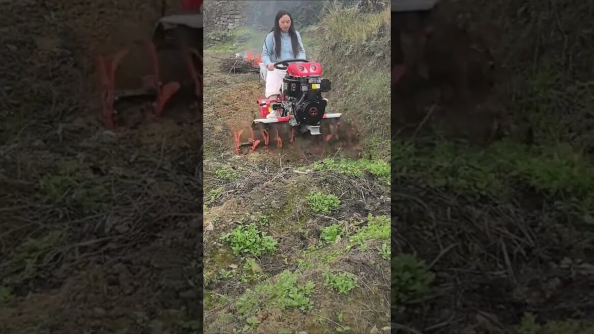 Year-Round Vegetable Gardening: Month-by-Month Guide