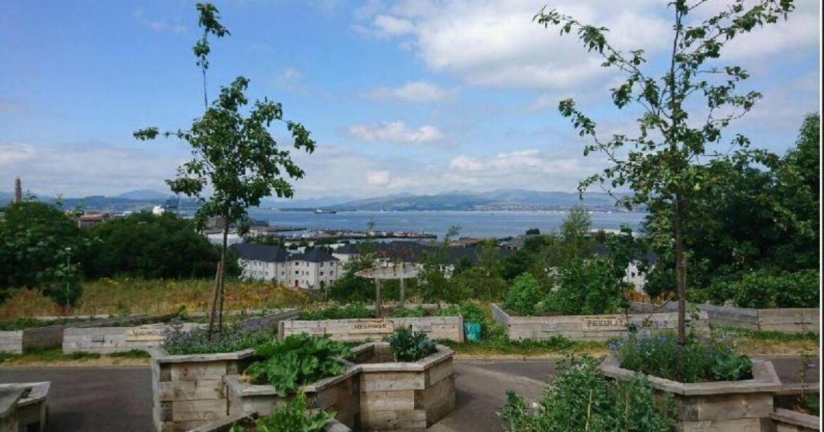 Session times revealed for Belville Community Gardens