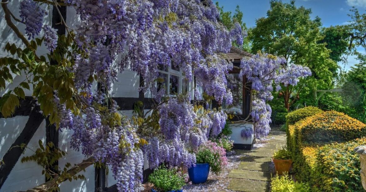 Picturesque Worcestershire gardens opening to visitors