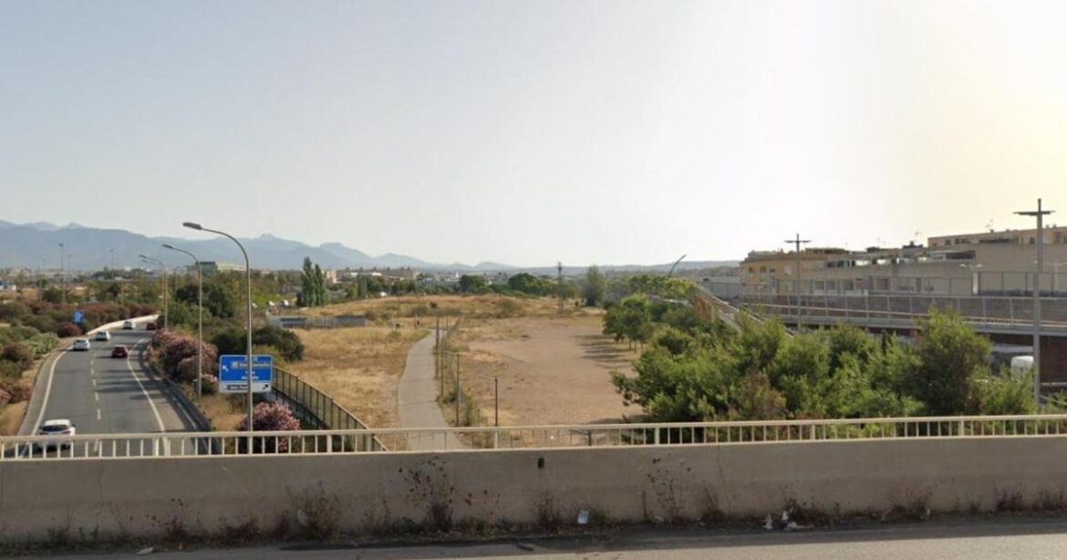 Palma Botanical Garden will have examples of Mediterranean forests plus recreational facilities